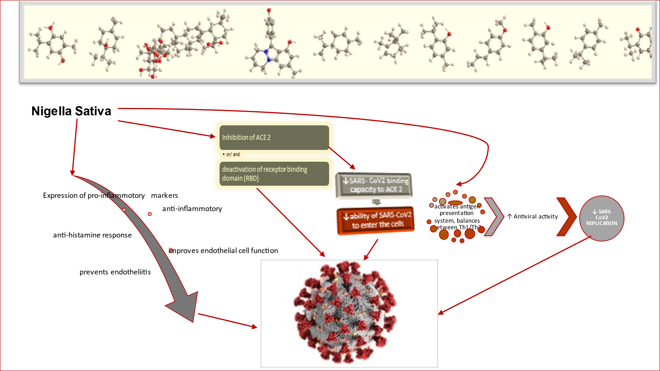 The patient's serum was incubated with NA1/NA1– (top) or NA2/NA2